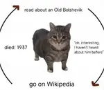 1937 bolshevik cat joseph_stalin marxism_leninism purge soviet_union wikipedia // 680x591 // 38KB