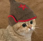 budyenovka cat meta:lowres red_star star starecat // 330x320 // 113KB