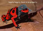 amphibian frog hammer_and_sickle poison_dart_frog private_property property red_star star tankie ushanka // 807x574 // 99KB