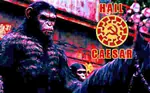 ape caesar_(planet_of_the_apes) chimpanzee impact_font meta:lowres national_bolshevism nazbol_gang primate simian x_gang // 450x279 // 7.9KB