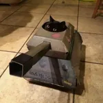 armored_fighting_vehicle cat meta:photo reaction_image tank // 900x900 // 853KB