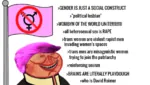 bourgeoisie capitalism feminism flag identity_politics lgbt pink_hair porky terf // 1366x776 // 474KB