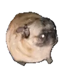 dance dog emote meta:animated meta:gif round // 112x112 // 262KB