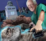 2016 bernie_sanders defibrillator election glasses grave karl_marx marxism resurrection shovel social_democracy united_states // 543x481 // 118KB