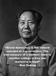 china college fake_quote mao_zedong maoism marijuana quote revolution social_democracy // 711x960 // 163KB