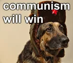 communism_will_win dog red_star star ushanka victory // 700x600 // 500KB