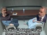 conservatism cultural_marxism jordan_peterson marxism patient room schizophrenia slavoj_zizek // 1080x823 // 1021KB