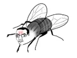 angry chudjak fascism fly glasses insect nazi seethe site:pol wings // 636x482 // 106KB