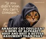 anarchism argument cat election electoralism hoodie meta:lowres reformism shit // 360x310 // 57KB