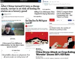 article china cope mainstream_media media meta:screencap success // 1871x1495 // 509KB