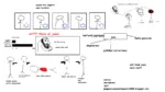 antisemitism blood conspiracy fascism gun handgun intelligence iq jew meta:highres ms_paint nazi racism site:pol stick_figure stormfront weapon // 2452x1374 // 212KB