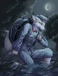 anthro art bandage china fox furry night uniform // 1080x1412 // 768KB