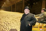 factory food kim_jong_un korea_dpr meta:absurdres meta:photo potato // 4444x2948 // 1.5MB