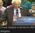 2016 avian bernie_sanders bird delegate election glasses social_democracy united_states // 600x551 // 61KB