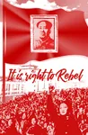 china flag mao_zedong maoism poster propaganda raised_fist rebel red_flag revolution // 1086x1662 // 1.7MB