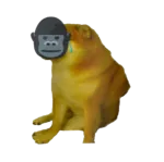 cope doge gorilla infrared oc // 567x564 // 228KB