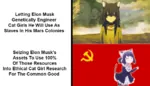 anime capitalism catgirl dance drake elon_musk hammer_and_sickle means_of_production meta:animated meta:gif seize // 960x552 // 431KB