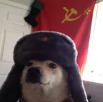 dog doge flag hammer_and_sickle meta:photo red_flag red_star soviet_union star ushanka // 960x955 // 135KB