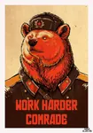 bear comrade reaction_image red_star star ushanka work // 668x951 // 264KB