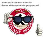 diversity fascism glasses identity_politics nazi picardia race racism site:pol swastika when // 953x767 // 293KB