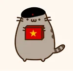 beret cat pusheen red_star star vietnam // 600x583 // 80KB