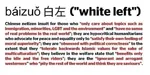 baizuo china definition identity_politics insult liberalism meta:screencap radlib // 720x360 // 64KB