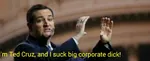 2016 capitalism corporation dick election ted_cruz united_states // 542x221 // 21KB