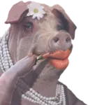 bourgeoisie capitalism meta:lowres meta:transparent_background pig porky // 391x466 // 291KB