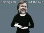 balls cut deaf meta:animated meta:gif sign slavoj_zizek // 320x240 // 962KB