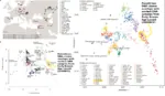 arab colonialism dna genetics meta:infographic palestine statistics zionism zionist_regime // 1700x991 // 941KB