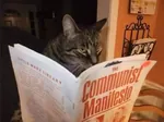 book cat communist_manifesto friedrich_engels karl_marx meta:photo reading // 480x359 // 19KB