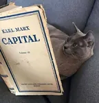 book cat das_kapital karl_marx marxism reading // 651x679 // 53KB