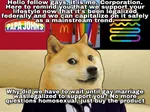 capitalism commodity corporation dog doge gay identity_politics lgbt product rainbow_capitalism // 1242x930 // 238KB