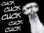 alt_right avian bird buzzword chicken cuck fascism nazi site:pol // 700x525 // 84KB