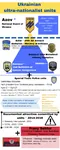 army azov_battalion fascism meta:infographic nazi paramilitary ukraine // 800x2000 // 396KB