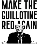 beheading donald_trump execution guillotine revolution united_states // 584x649 // 78KB