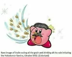 deaths famine food grain joseph_stalin kirby rain soviet_famine_of_1932_to_33 soviet_union ukraine // 861x677 // 42KB