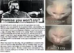 1986 cat crying joseph_stalin revisionism soviet_union vyacheslav_molotov // 792x572 // 327KB