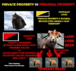 anarchism anarcho_capitalism bear capitalism debunk human_nature land landlord private_property property rent territory // 1375x1276 // 972KB