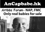 advertisement anarcho_capitalism austrian_school capitalism free_market libertarianism ludwig_von_mises market meta:lowres non_aggression_principle parody // 250x179 // 37KB