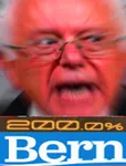 200_percent 2016 bernie_sanders election glasses meta:lowres reaction_image social_democracy united_states // 190x249 // 19KB