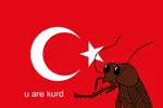 cockroach flag insect turkey west_asia // 1024x683 // 44KB