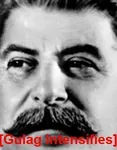 gulag intensifies joseph_stalin meta:lowres prison reaction_image soviet_union // 275x354 // 22KB