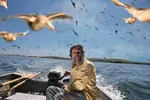 avian bird boat meta:photo sea seagull slavoj_zizek // 1728x1152 // 787KB