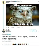 avian bird cringe irony libertarianism meta:screencap owl site:twitter tweet // 623x698 // 83KB