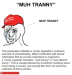 confusion conservatism crying discord donald_trump hat maga muh obsession scholastic tranny wojak // 956x999 // 415KB