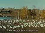 avian bird caption duck film kulak soviet_union // 986x720 // 99KB