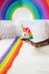 gay identity_politics intersectionality lgbt liberalism radlib rainbow snake unicorn // 640x960 // 489KB