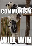 bear communism_will_win impact_font panda snow victory // 500x708 // 501KB