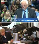 2016 avian bernie_sanders bird comparison donald_trump eagle election glasses social_democracy sparrow united_states // 460x523 // 55KB